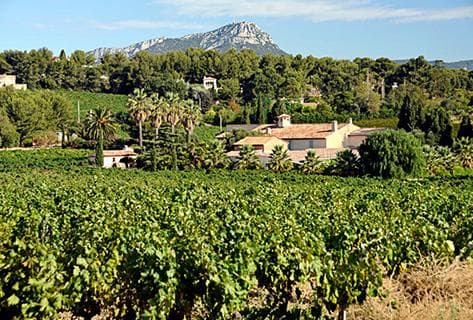 Photo of partner producer Clos Cibonne