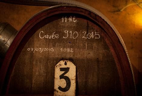 Clos des Vignes du Maynes - 4