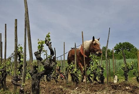 Photo du domaine partenaire Combier