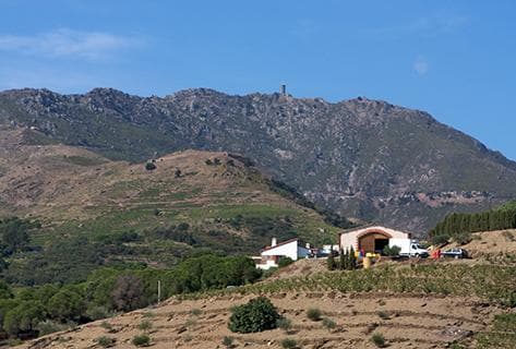 Photo of partner producer Coume del Mas