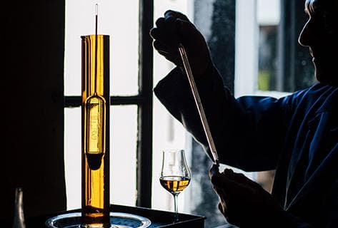 Photo du domaine partenaire Delamain