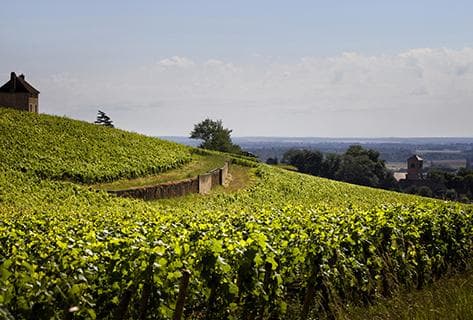 Photo du domaine partenaire Denis Mortet