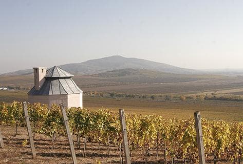 Photo du domaine partenaire Disznoko