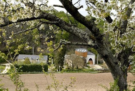 Photo du domaine partenaire Domaine de Bellivière