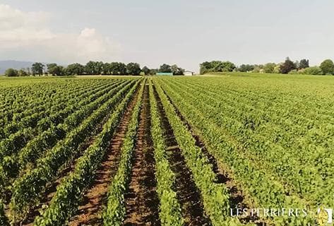 Domaine des Perrières - 4