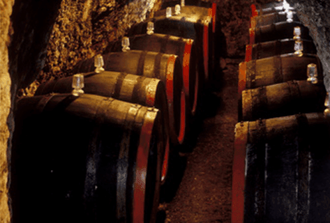 Domaine des Tilleuls - Philippe Livera - 3