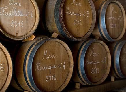 Domaine Guillemot-Michel - 3