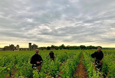 Domaine Méo-Camuzet - 2