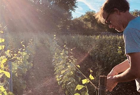 Domaine Rois Mages - 2