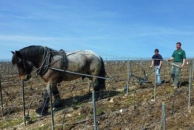 Photo du domaine partenaire Drappier