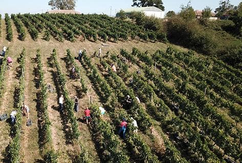 Photo du domaine partenaire Elian Da Ros