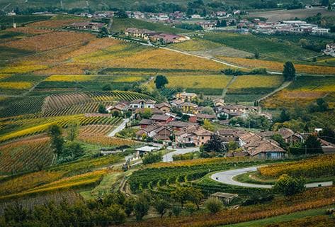 Photo du domaine partenaire Elio Altare