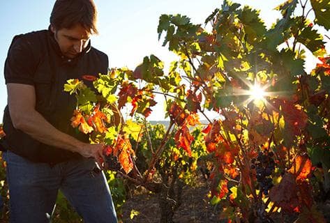 Photo du domaine partenaire Exopto