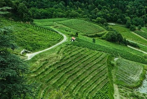 Foto des Partnerweinguts François Rousset-Martin