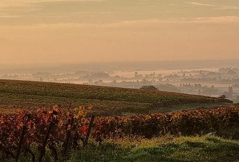 Photo du domaine partenaire Génot-Boulanger