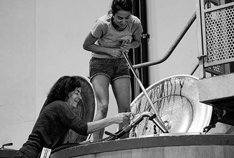 Photo du domaine partenaire Georges Vernay