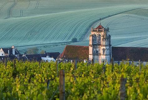 Photo du domaine partenaire Goisot