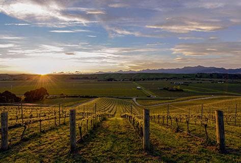 Photo du domaine partenaire Greywacke