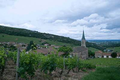 Photo du domaine partenaire Guffens Heynen