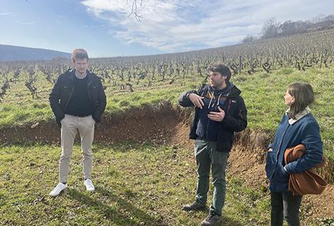 Photo du domaine partenaire Henri et Gilles Buisson