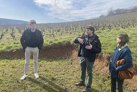 Photo of partner producer Henri et Gilles Buisson