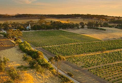 Photo du domaine partenaire Henschke