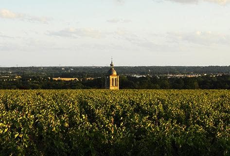 Photo du domaine partenaire Huet