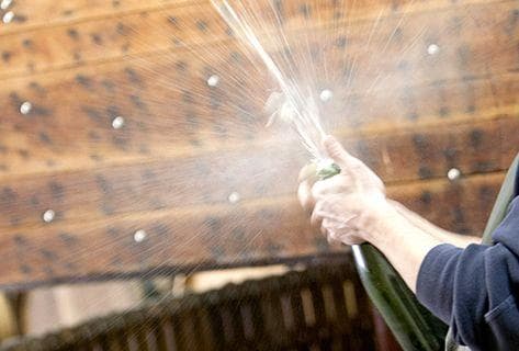 Photo of partner producer Jacques Lassaigne