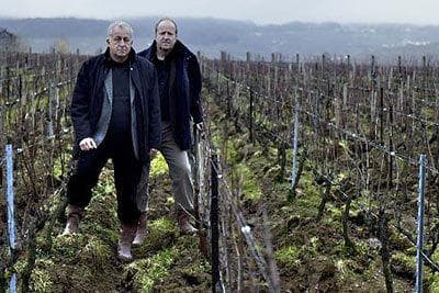 Photo du domaine partenaire Jacquesson