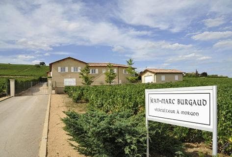 Photo du domaine partenaire Jean-Marc Burgaud