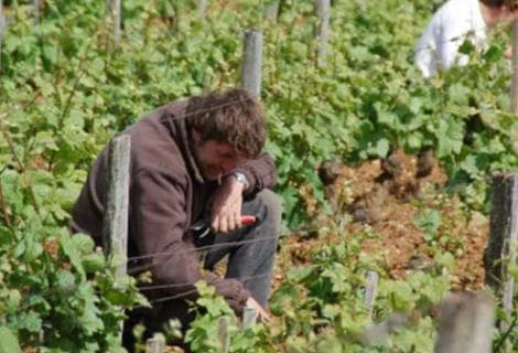 Jean Trapet et fils - 4