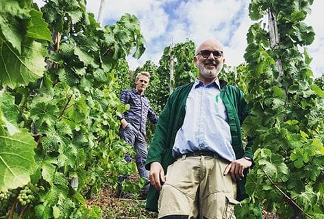 Photo du domaine partenaire Joh. Jos. Prum