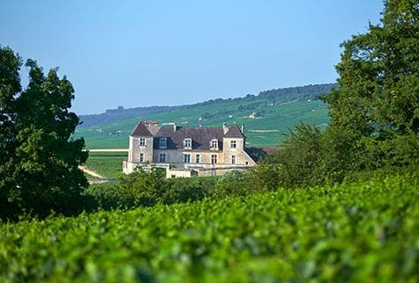 Photo of partner producer Joseph Drouhin (domaine)