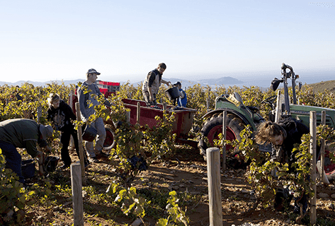 Photo du domaine partenaire La Bégude