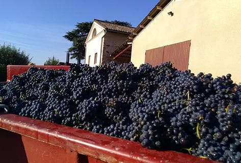 Photo of partner producer La grosse pierre