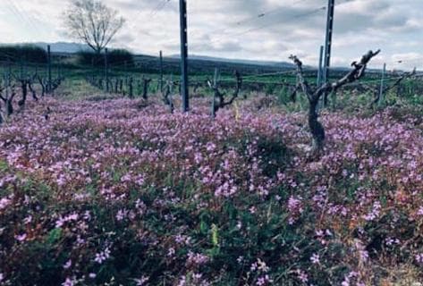 La grosse pierre - 2