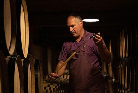 Photo du domaine partenaire La Vougeraie