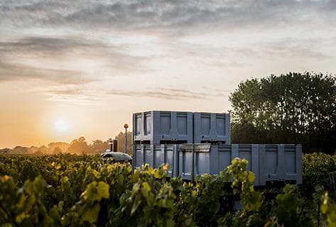 Foto des Partnerweinguts Le Fay d'Homme