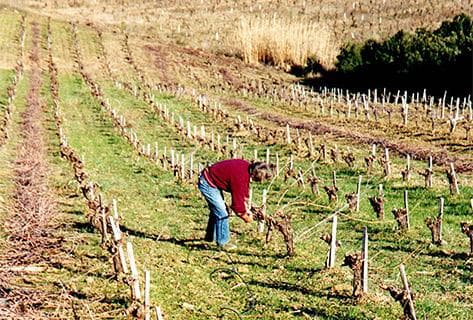 Photo of partner producer Léon Barral