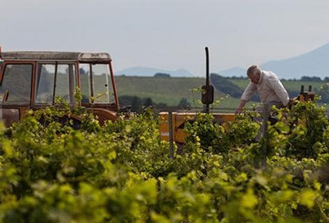 Photo du domaine partenaire Les Cailloux