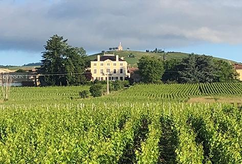 Photo du domaine partenaire Marc Delienne