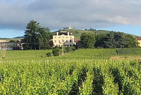 Photo du domaine partenaire Marc Delienne