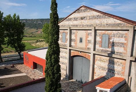 Photo du domaine partenaire Mas Amiel