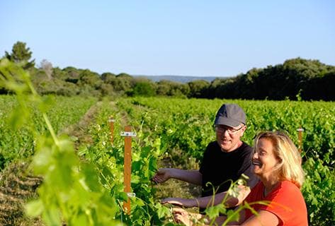 Photo du domaine partenaire Mas Combarela