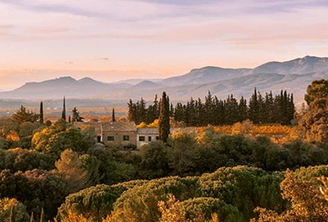 Photo du domaine partenaire Mas Daumas Gassac