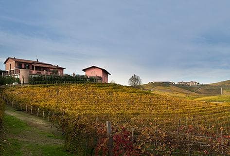 Foto des Partnerweinguts Mauro Molino