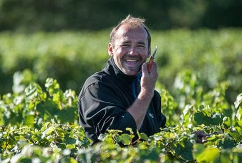 Photo du domaine partenaire Michel Bouzereau et Fils