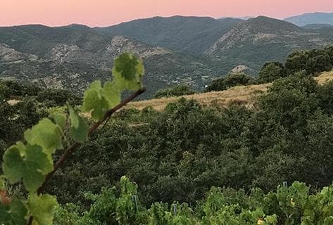 Photo du domaine partenaire Modat