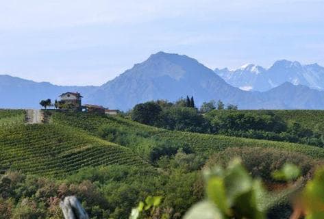Photo du domaine partenaire Nervi Conterno