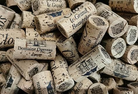 Photo of partner producer Ogereau (Domaine)